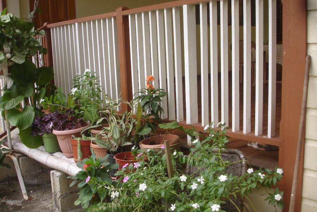 Finjam Cottage Порт Антонио Екстериор снимка